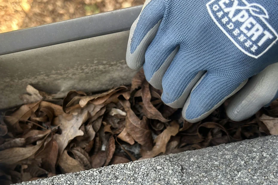 Gutter Cleaning Trussville